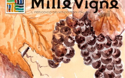 DigiVit: presente nel numero di settembre di “Millevigne” nell’osservatorio dei progetti di ricerca sulla viticoltura