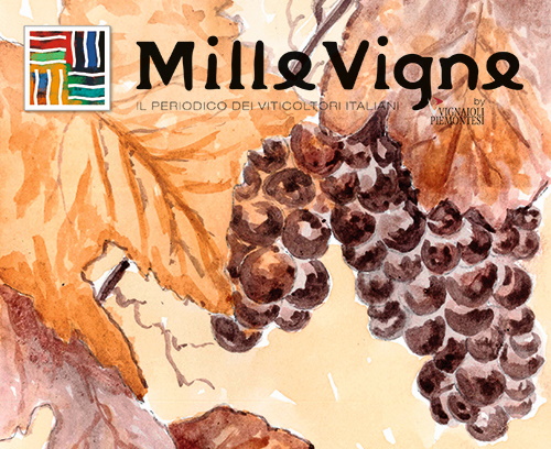 DigiVit: presente nel numero di settembre di “Millevigne” nell’osservatorio dei progetti di ricerca sulla viticoltura